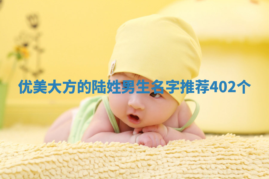 陆姓优美大方的男生名字