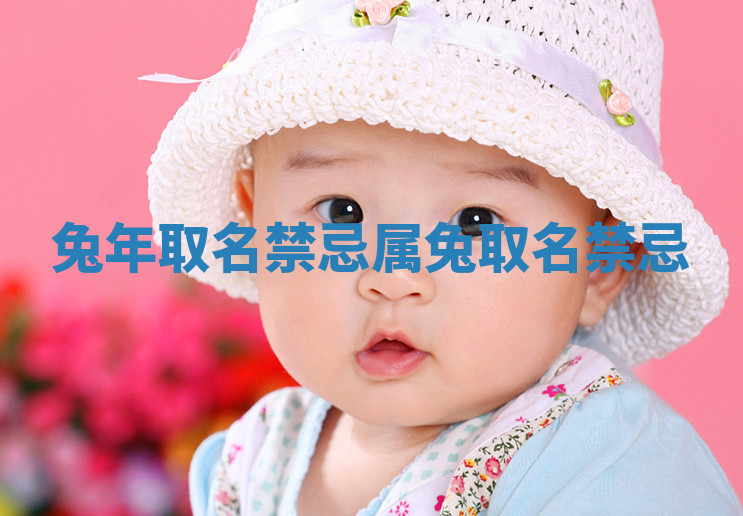 兔年取名禁忌_属兔取名禁忌