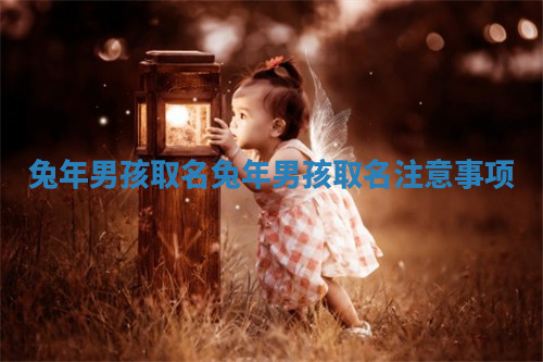 兔年男孩取名_兔年男孩取名注意事项