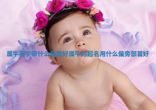 属牛名字带什么偏旁好 属牛的起名用什么偏旁部首好