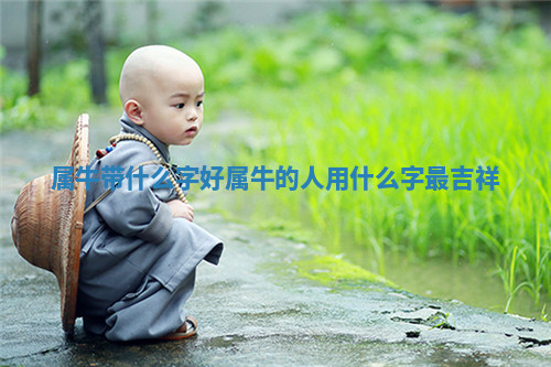 属牛带什么字好 属牛的人用什么字最吉祥