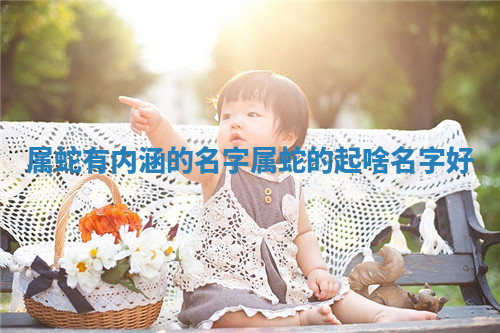 属蛇有内涵的名字 属蛇的起啥名字好